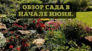 Цветущий сад в начале июня.?