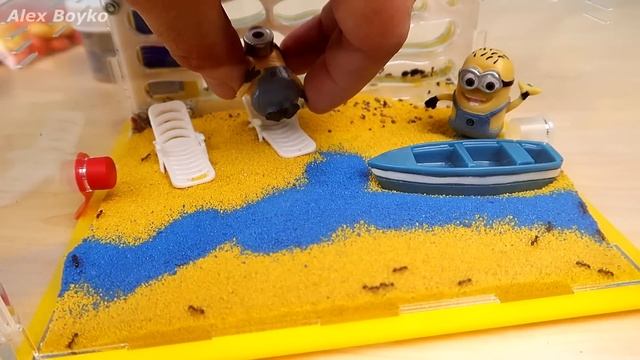 Формикарий КУБ! Миньоны в гостях у Муравьев! Новая Тигровая Бабочка! Бабочкариум. alex boyko