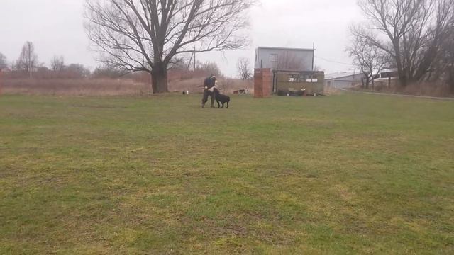 Фесс, 9 лет и 3 месяца, побег смотреть онлайн