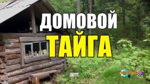 0862 - ДНЕВНИК ДОМОВОГО _ РАССКАЗЫ С ЧЕРДАКА _ ГОЛОС ИЗ ПЕЧИ _ ЖИЗНЬ В ТАЙГЕ.mp4