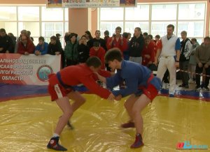 В Волгограде определили победителей Первенства региона по самбо