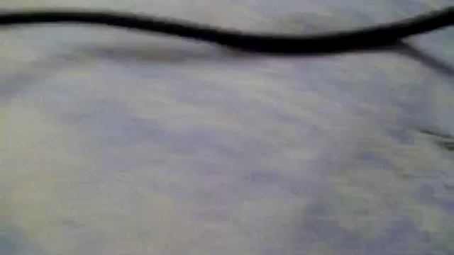 Проверка камеры смотреть онлайн