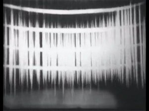Углеводы, 1977