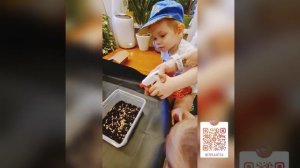 Выращиваем траву с детьми с нуля. Учимся уходу за растениями