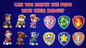 Cat Pack PAW Patrol Rescues ?| PAW Patrol | Cartoons for Kids Compilation