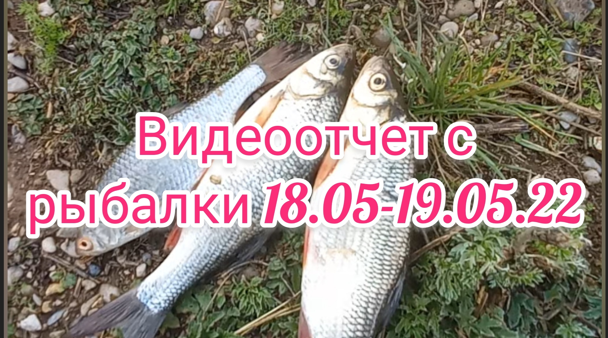 Видеоотчет с рыбалки 18-19.05.22 . Рыбалка 2022 . Рыбалка . Рыбалка на поплавок .