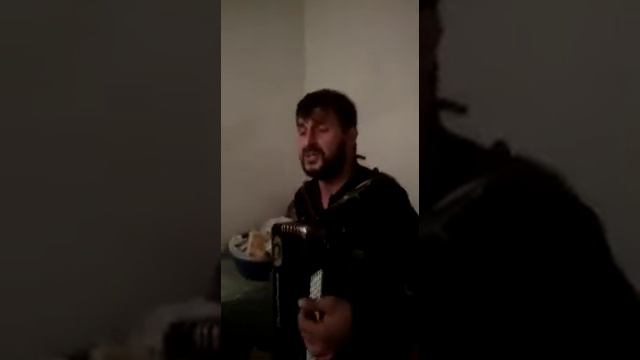 Тимур раджабов(2)