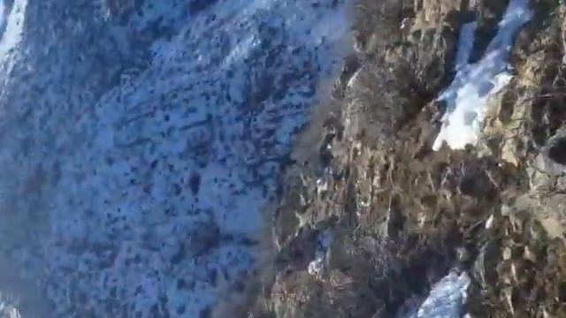 Последняя охота 26.01.2019