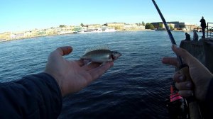 #26 Only Ёрш на heavy light