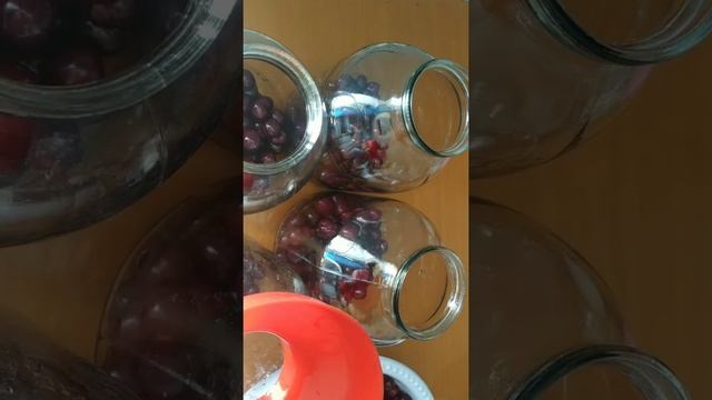 gilosdan kompot tayyorlash/приготовление компота из вишни? смотреть онлайн