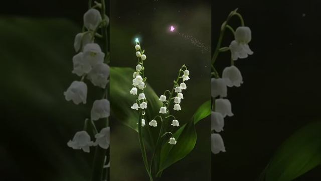 Казахский исполнитель ландыши. Казахский исполнитель ландыши. Солист группы ландыши. Казахский исполнитель ландыши. Ландыши концерт.