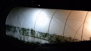 освещение теплицы, одни плюсы