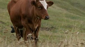 Башкирия. 1 часть.