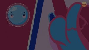 Путешествие кислорода по организму