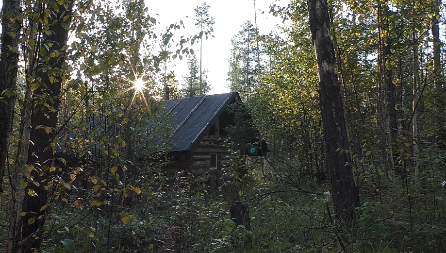Ремонт избушек. Медведь в фотоловушке.