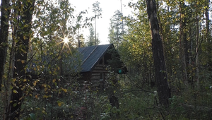 Ремонт избушек. Медведь в фотоловушке.