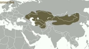 Wild Animals In Russia | Part-1