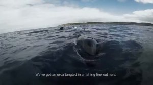 GoPro HERO4  Супер съемка с камеры gopro