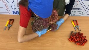 Флористика