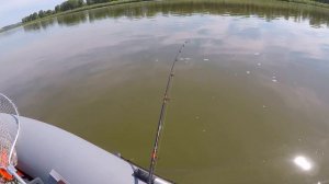 Троллинговое Удилище Salmo Power Stick Boat Тест на Рыбалке