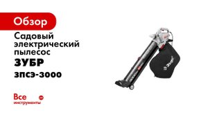 Воздуходувка электрическая  Зубр 3 в 1  арт  ЗПСЭ 3000