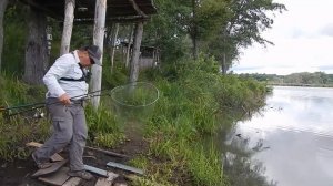 ДЖИГ-РИГ или ТОКИО-РИГ! Щука и сом на ЧУПА ЧУПС! Рыбалка летом.