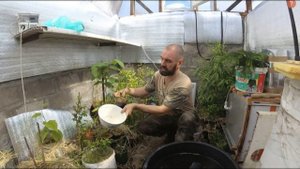 Понижение температуры в подземной теплице.