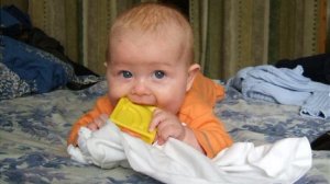 23_августа_2010