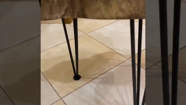 стол из торцевого спила смотреть онлайн