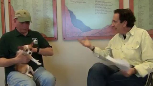 Reasons Why People Surrender Their Pets смотреть онлайн