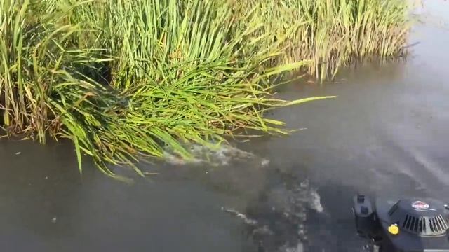 Испытания нового мотора болотоход смотреть онлайн