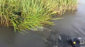 Испытания нового мотора болотоход