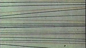 МИР ЕВКЛИДОВОЙ ГЕОМЕТРИИ.ХРОНИКА