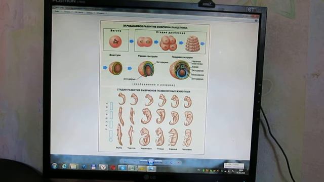(214) эволюционный возраст организма смотреть онлайн