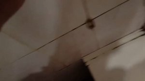 Гостиница мечта Хабаровск ужас