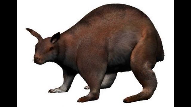 Нуралагус Рекс | Заяц-Гигант | Вымершие животные смотреть онлайн