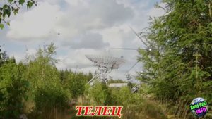 Самые добрые и дружелюбные женщины по знаку Зодиака.