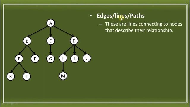 INTRODUCTION TO TREE IN DATA STRUCTURE