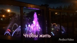 свет - чтобы жить 3