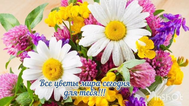 Поздравления одноклассницы с Днём рождения.