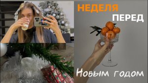 беременные буднипокупки к Новому годудни с семьей, меняю образ