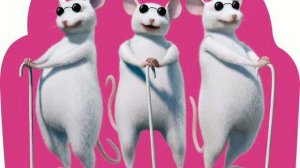 Make A Move   3 Blind Mice   HIGH