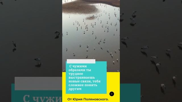 Юрий Поляновский  Как соблюдать гигиену онлайн