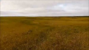 Вездеход Добрыня