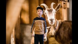 Александр Гиневский "Козлы" - читает Георгий Иванов.