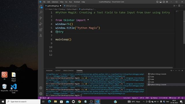 Create an Input Text Field to Take User Input | Python Magix