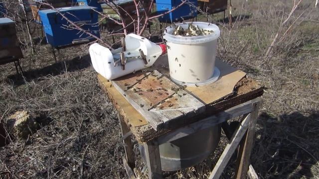 Белково - витаминная добавка для весенней подкормки пчел от производителя смотреть онлайн