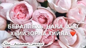 Дахаран марзо, сан дуьнена серло, Нана