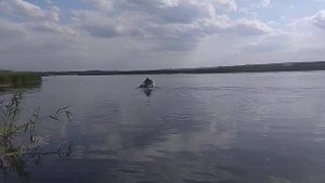 Лодка Мурена 270 + мотор HDX 2.6