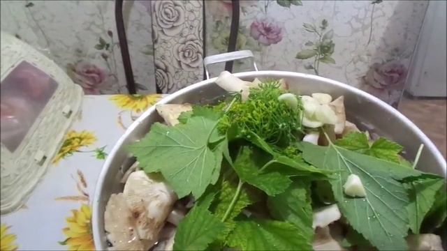 Засолка груздей горячим способом. Рецепт от Джулии.